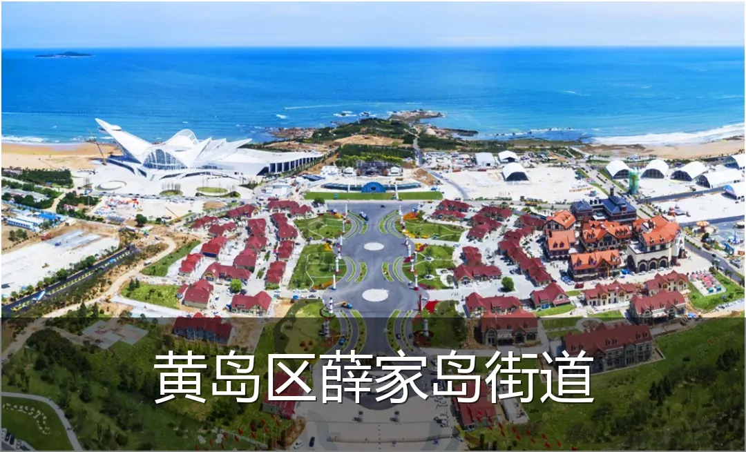 黄岛区薛家岛街道